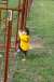 resIMG_20121007_2299.JPG